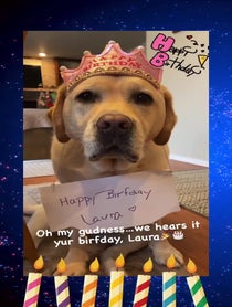 Poster for Birthday video from Joy of Willow and Nala