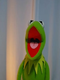 Poster for Holiday video from #KermitFanFrog