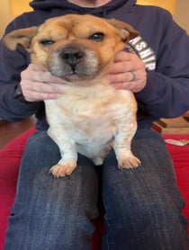 Poster for Gift video from Peanut