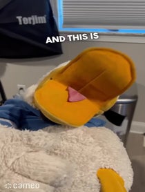 Poster for Intro video video from DonaldDucc 🦆