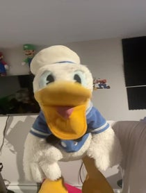 Poster for Birthday video from DonaldDucc 🦆