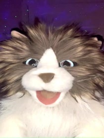 Poster for Birthday video from The Talking Cat Puppet