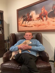 Poster for Other video from Bob Eubanks