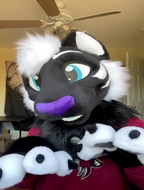 Poster for Other video from Fleur The Tiger
