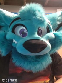 Poster for Intro video video from Brightwater Wolf