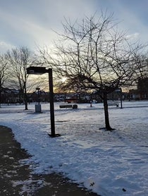 Poster for Birthday video from Punxsutawney Phil