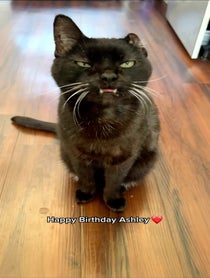Poster for Birthday video from Uno