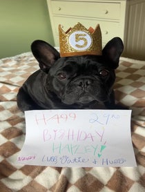 Poster for Birthday video from Oatie Meal