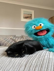 Poster for Birthday video from Milo’s World