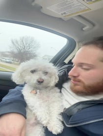 Poster for Other video from Patrick Barnes