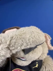 Poster for Send some love video from Moondog Cavs Mascot Puppet