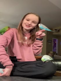 Poster for Birthday video from BirdTricks