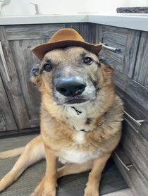 Poster for Birthday video from Django Smiles