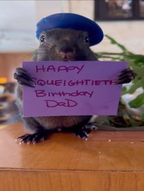 Poster for Birthday video from Peanut the Squirrel