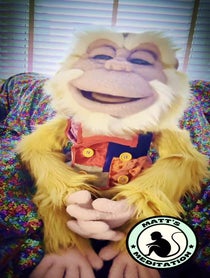 Poster for Send some love video from Jomo the Meditation Monkey