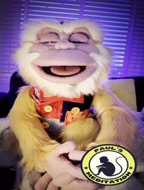 Poster for Other video from Jomo the Meditation Monkey