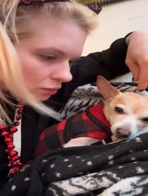 Poster for Valentine's Day video from Magda Apanowicz