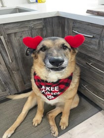 Poster for Valentine's Day video from Django Smiles