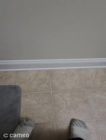 Poster for Intro video video from Shit