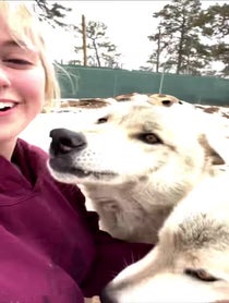 Poster for Birthday video from Wild Spirit Wolf Sanctuary