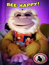 Poster for Other video from Jomo the Meditation Monkey