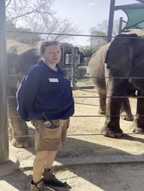 Poster for Valentine's Day video from Elephants at Houston Zoo