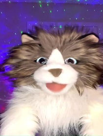 Poster for Anniversary video from The Talking Cat Puppet