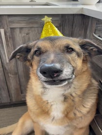 Poster for Birthday video from Django Smiles