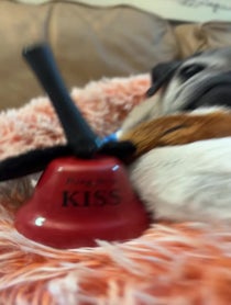 Poster for Valentine's Day video from Keiko & Norman