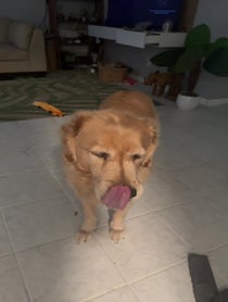 Poster for Valentine's Day video from Amber Fields