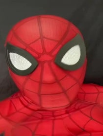 Poster for Pep Talk video from Spider man / Gavin Roberts
