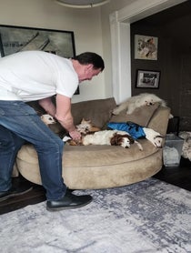 Poster for Birthday video from Wolfgang2242 (Steve Greig)