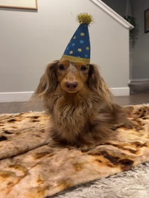 Poster for Birthday video from Roswell