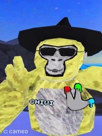 Poster for Intro video video from Chivi - Gorilla Tag