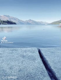 Poster for Intro video video from Nature Fellow