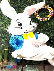 Poster for Other video from THE Easter Bunny
