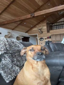 Poster for Birthday video from Tim Wells