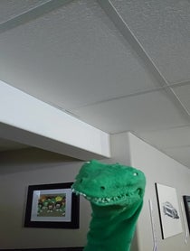 Poster for Pep Talk video from Croc Daddy