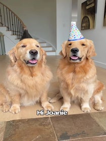 Poster for Birthday video from Sterling Newton