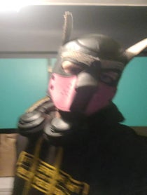 Poster for Birthday video from FoxPup