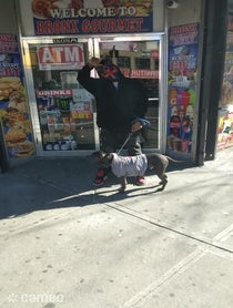 Poster for Intro video video from Skank Dollar