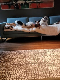 Poster for Birthday video from Wolfgang2242 (Steve Greig)