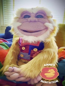 Poster for Roast video from Jomo the Meditation Monkey