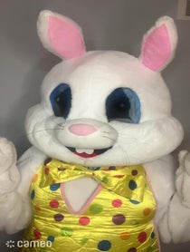 Poster for Intro video video from Michele the Easter Bunny