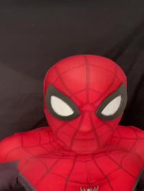 Poster for Other video from Spider man / Gavin Roberts
