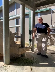Poster for Birthday video from Rhinos at Houston Zoo