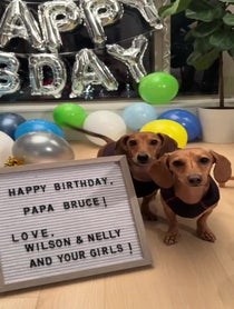 Poster for Birthday video from Wilson the Wiener