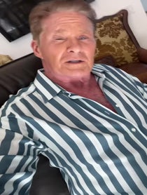 Poster for Other video from David Hasselhoff