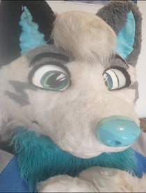 Poster for Birthday video from AlanDragonWolf