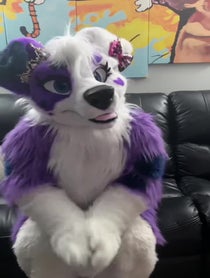 Poster for Gift video from Galaxie Collie